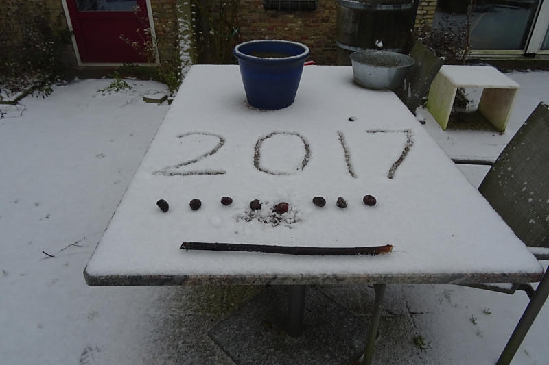 eerste-sneeuw-2017_6.jpg
